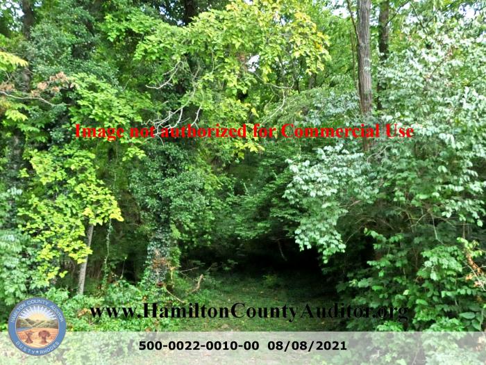 Photo 08/08/2021